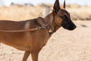 Modern Style Khaki Leather Leash - Dog Leash - Euro Style