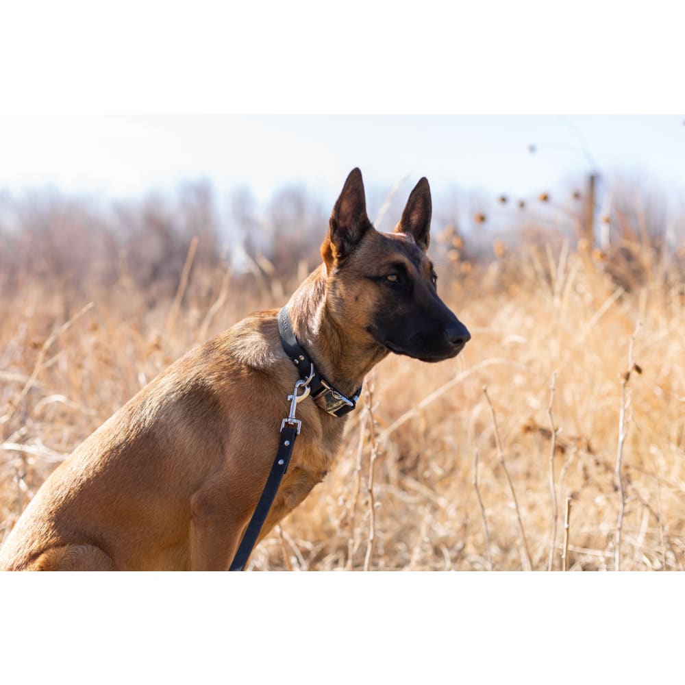 Modern Style Midnight Black Leather Leash - Dog Leash