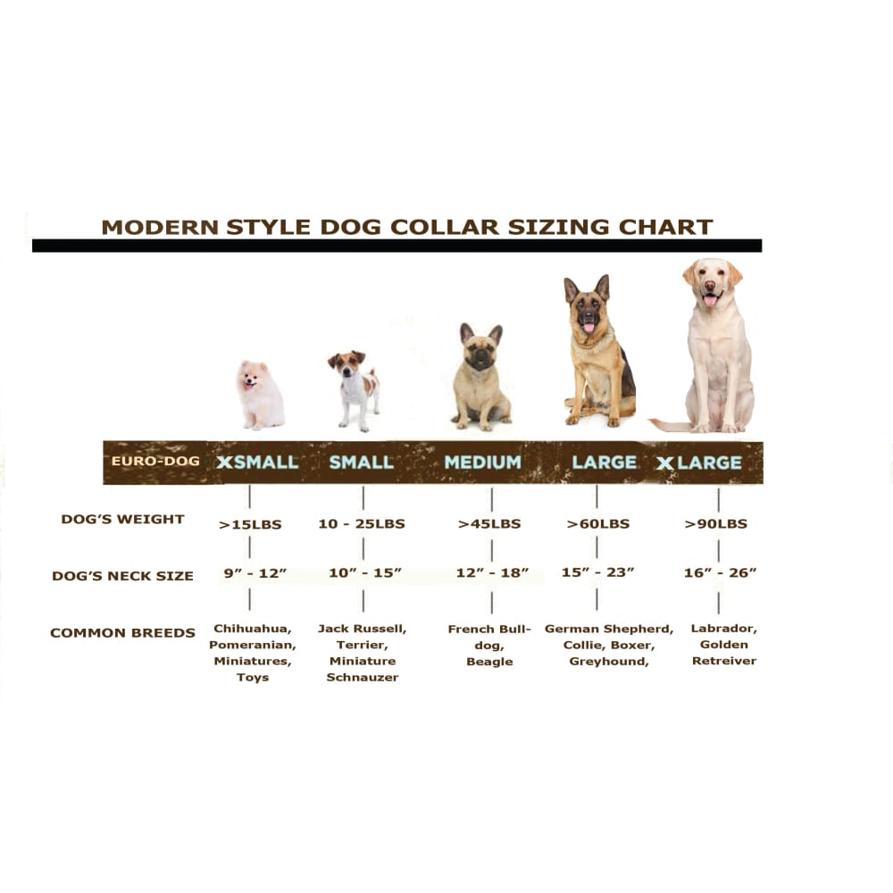 Modern Style Quick-Release Chocolate Leather Dog Collar