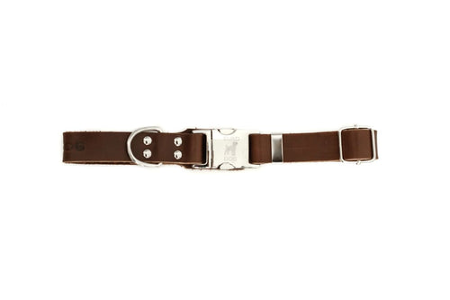 Modern Style Quick-Release Chocolate Leather Dog Collar