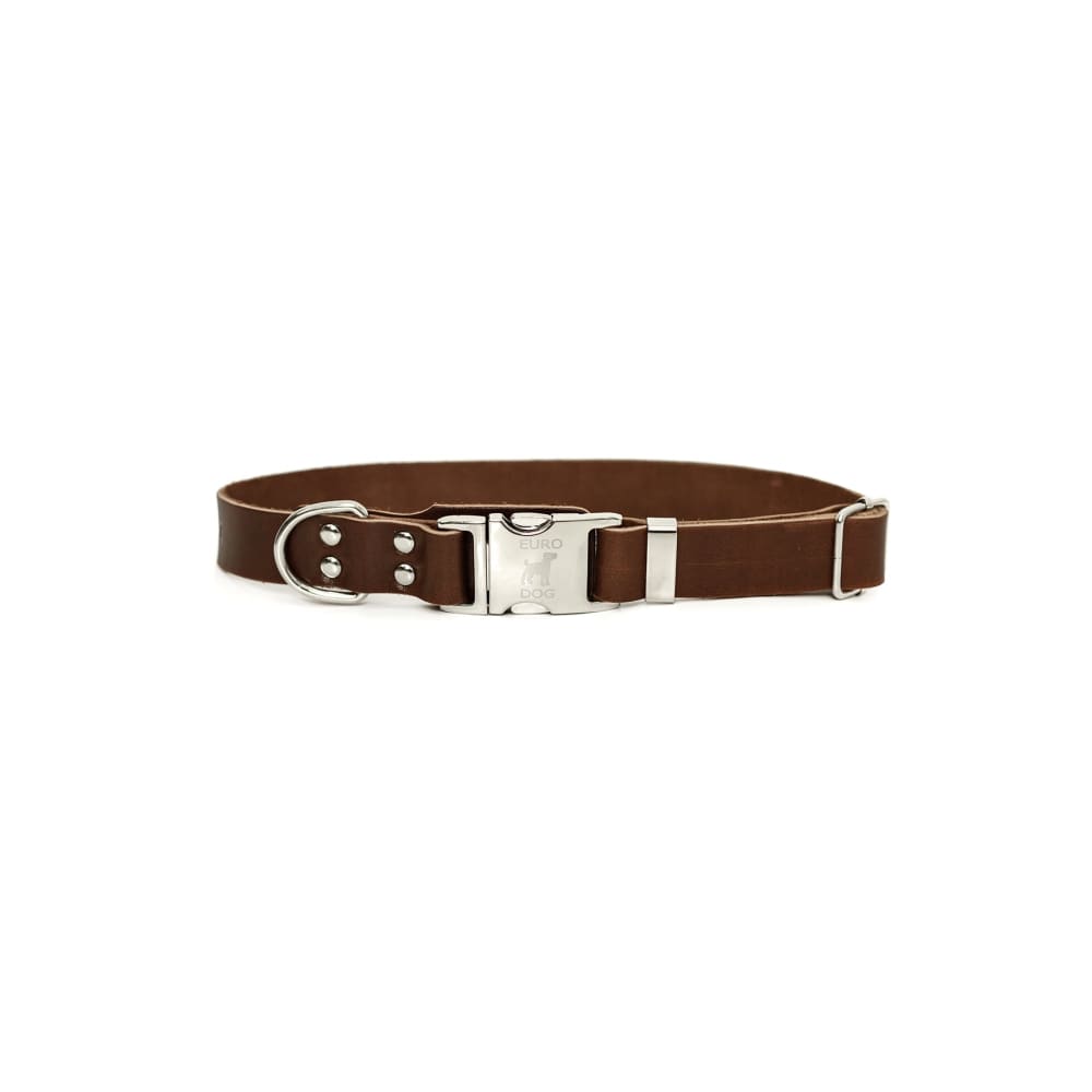 Modern Style Quick-Release Chocolate Leather Dog Collar