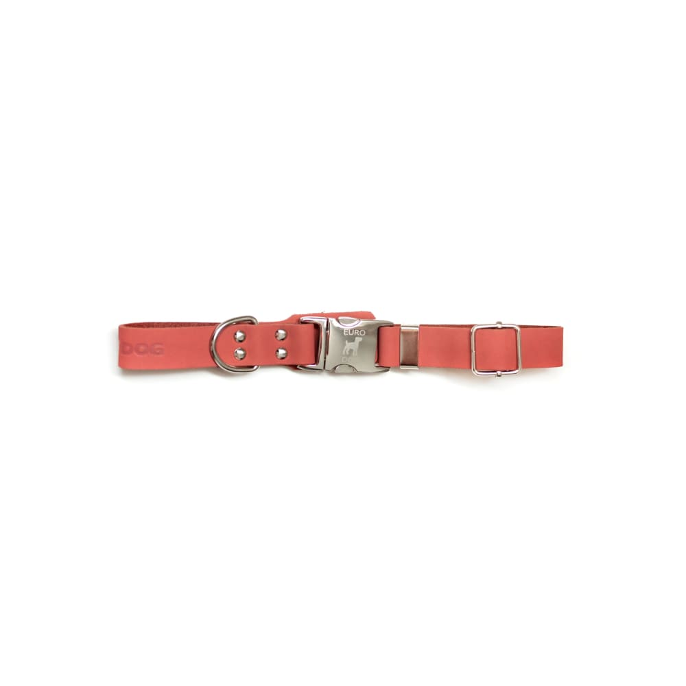Modern Style Quick-Release Coral Reef Leather Dog Collar