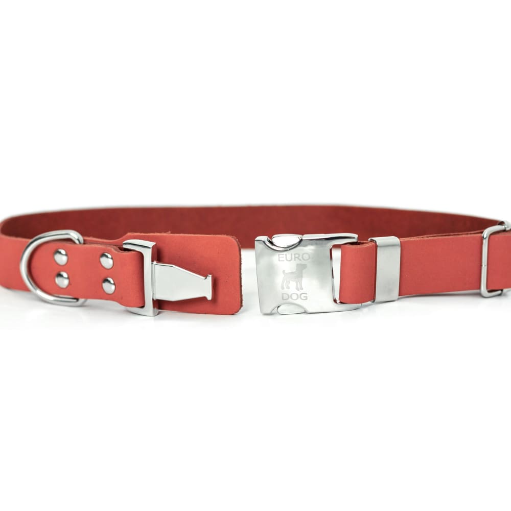 Modern Style Quick-Release Coral Reef Leather Dog Collar