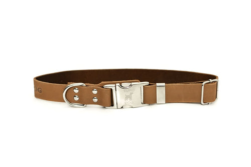 Modern Style Quick-Release Khaki Leather Dog Collar - Dog