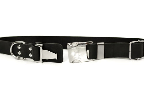 Modern Style Quick-Release Midnight Black Leather Dog