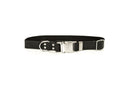 Modern Style Quick-Release Midnight Black Leather Dog