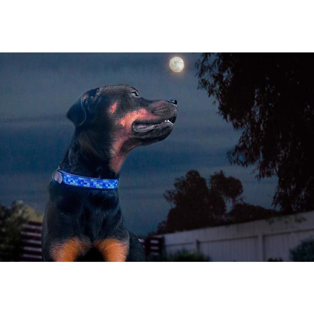 Moonbeam Beaded Dog Collar - Dog Collars - Maasai