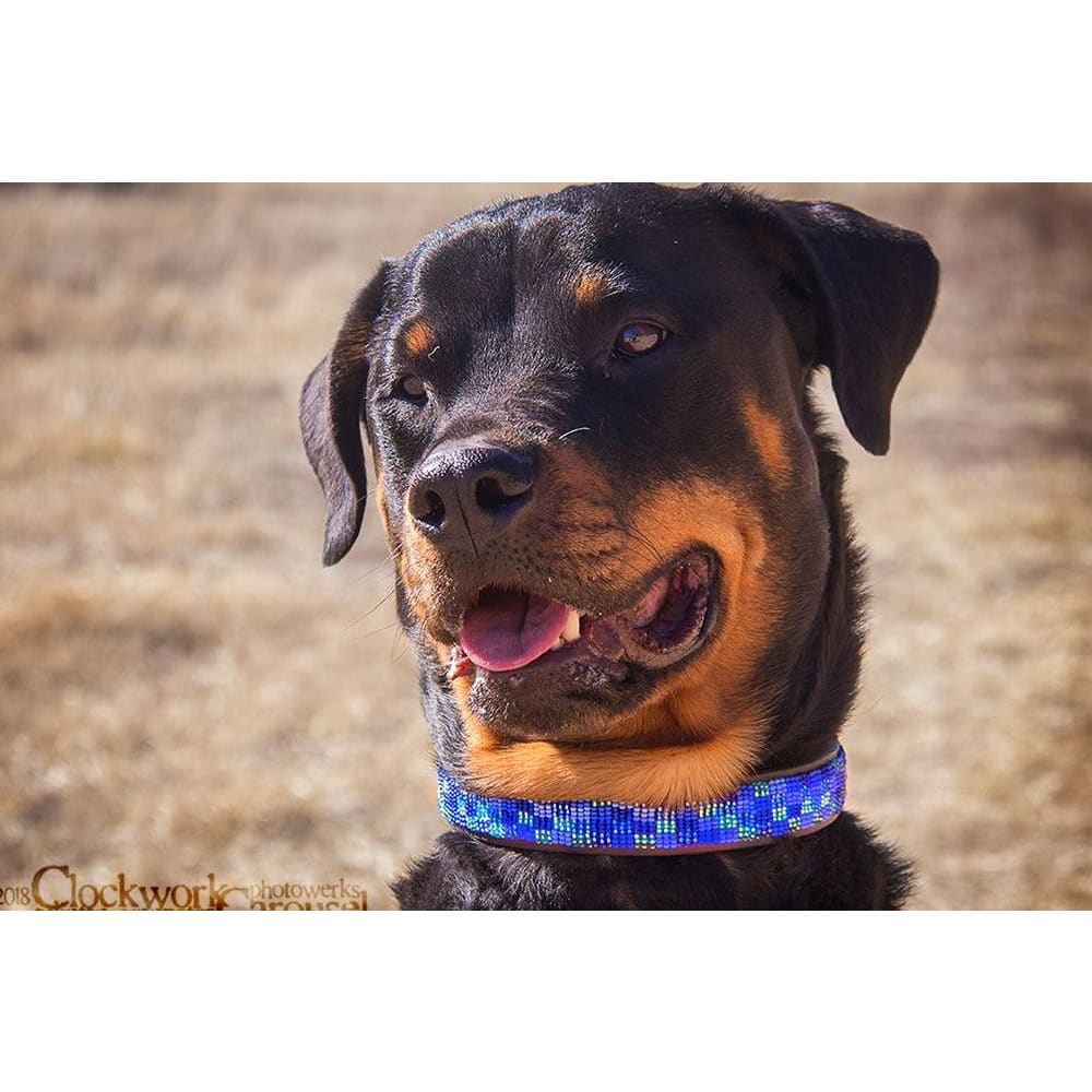 Moonbeam Beaded Dog Collar - Dog Collars - Maasai