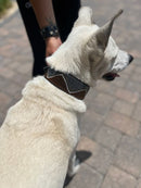 Nairobi Beaded Dog Collar - Dog Collars - Maasai