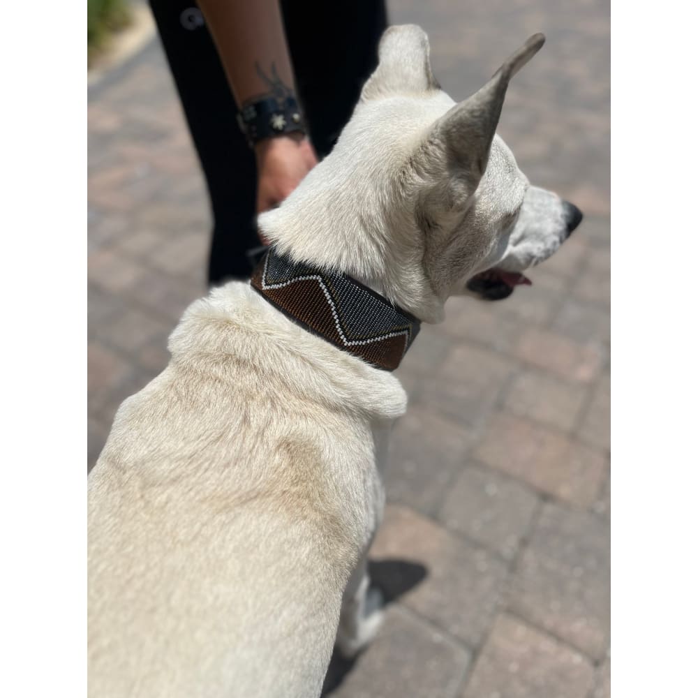 Nairobi Beaded Dog Collar - Dog Collars - Maasai