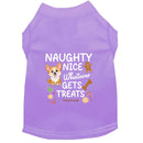 Naughty Nice Whatever Dog Shirt - Dog Shirt