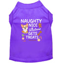 Naughty. Nice. Whatever Gets Me Treats. | Christmas Dog