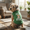 Not as Innocent as I Look Dog Shirt - Statement Dog Shirts