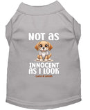 Not as Innocent as I Look Dog Shirt - Statement Dog Shirts