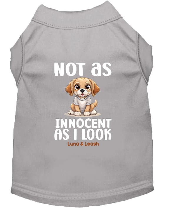 Not as Innocent as I Look Dog Shirt - Statement Dog Shirts