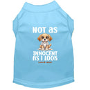 Not as Innocent as I Look Dog Shirt - Statement Dog Shirts