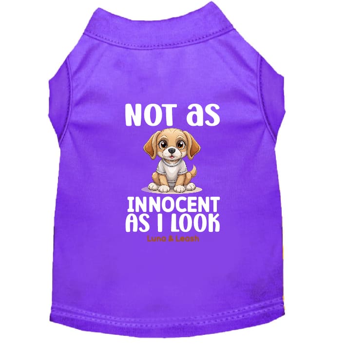 Not as Innocent as I Look Dog Shirt - Statement Dog Shirts