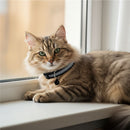 Reflective Cat Collar with Bell - Cat Collars - Classic