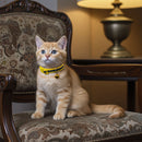 Reflective Cat Collar with Bell - Cat Collars - Classic