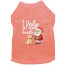 Only Sit for Santa Dog Shirt - Dog Shirt