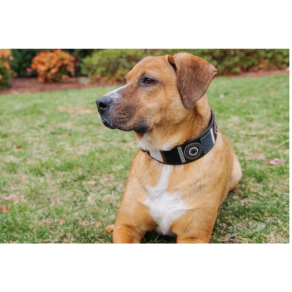 Oryx Beaded Dog Collar - Dog Collars - Maasai