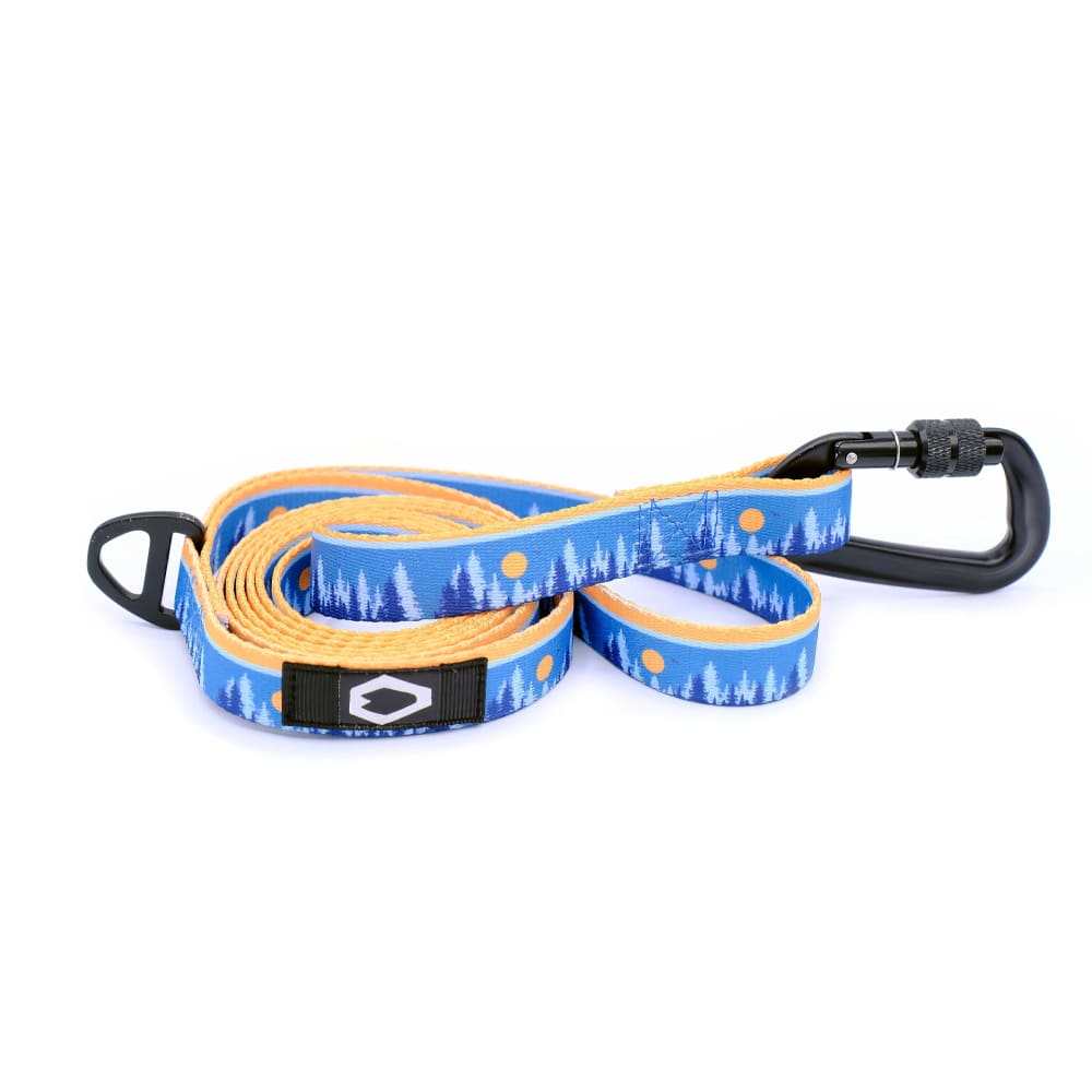 Outdoor Style Frozen Forest Nylon Dog Leash - Dog Leash