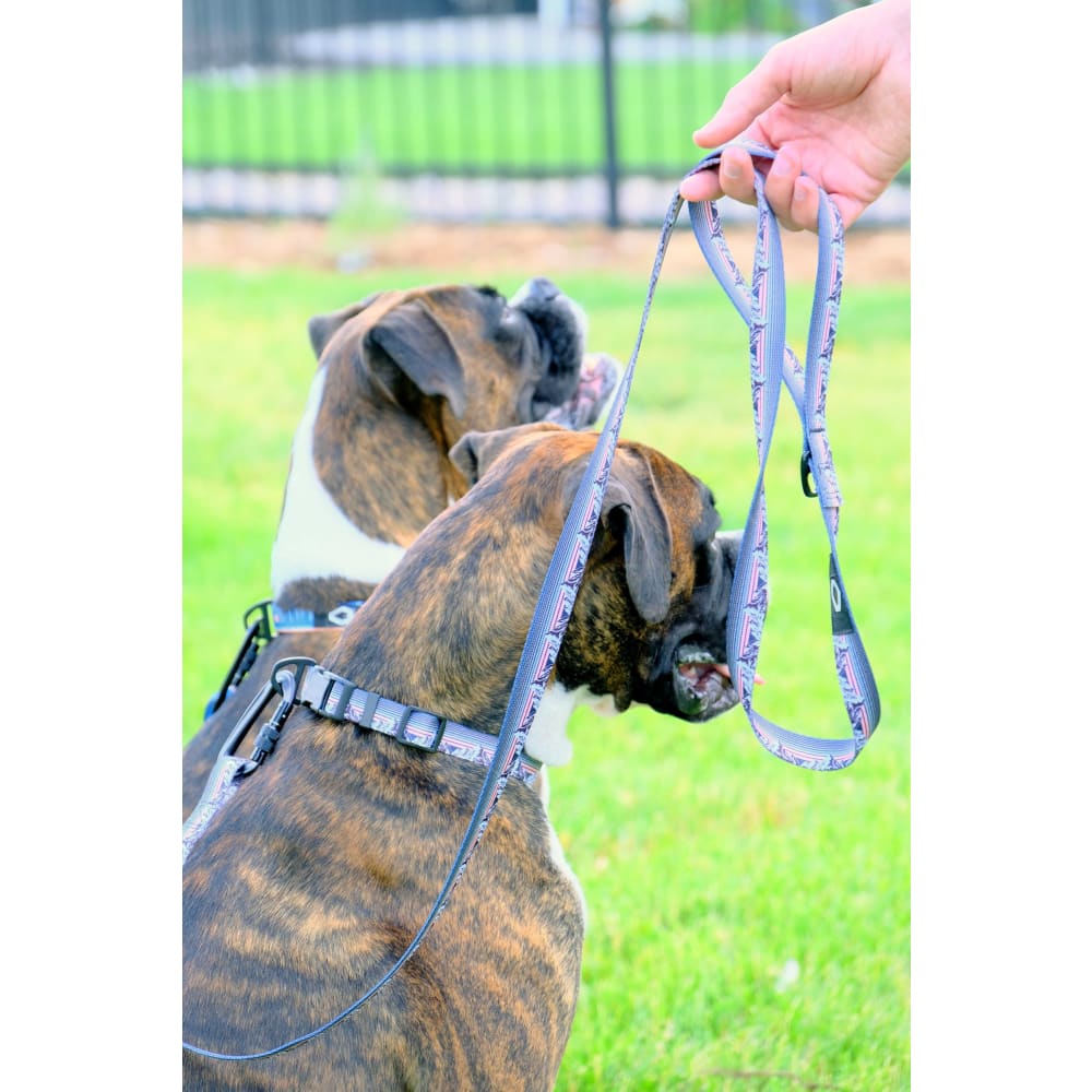 Outdoor Style Frozen Forest Nylon Step In Dog Harness - Dog