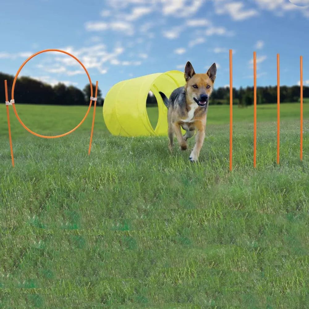 Outward Hound Dog Agility Starter Kit Outdoor - Dog Agility