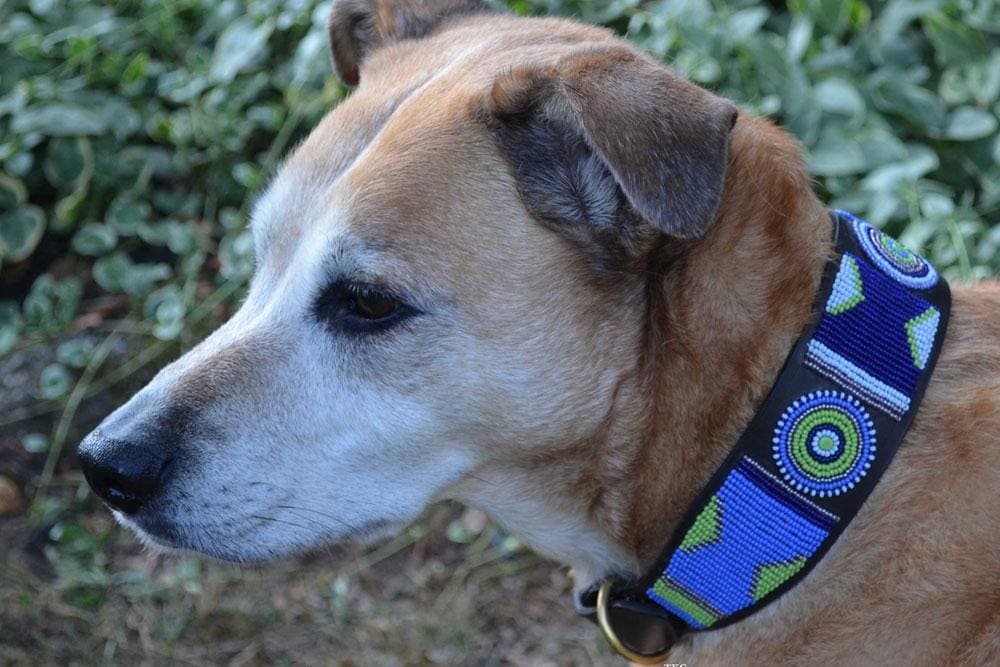 Passion Flower Beaded Dog Collar