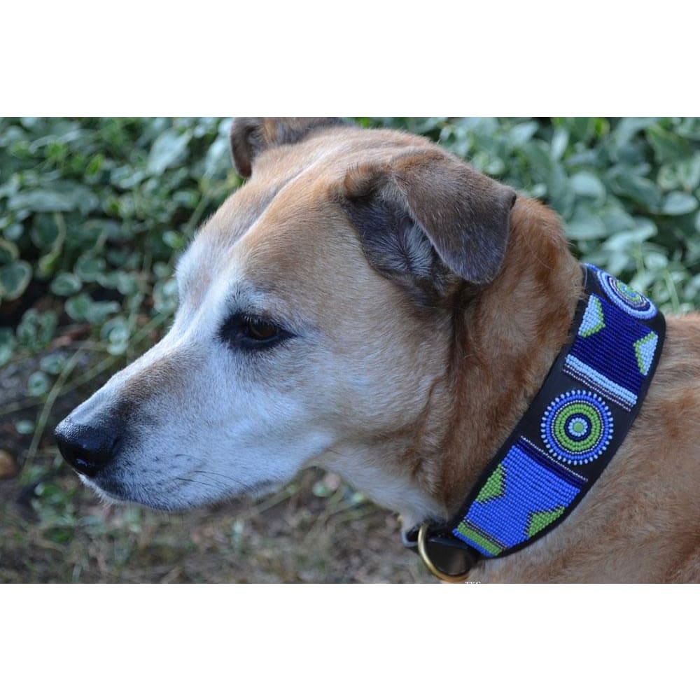 Passion Flower Beaded Dog Collar - Dog Collars - Maasai