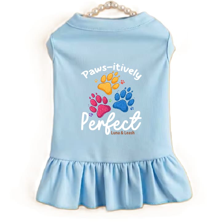 Light Blue / XS (0-3Lbs.)