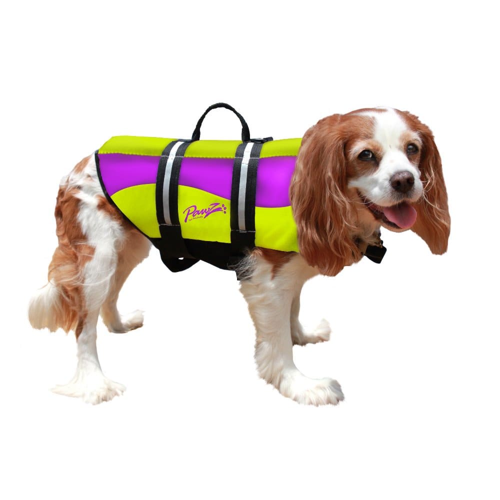 Pawz Neoprene Dog Life Jacket