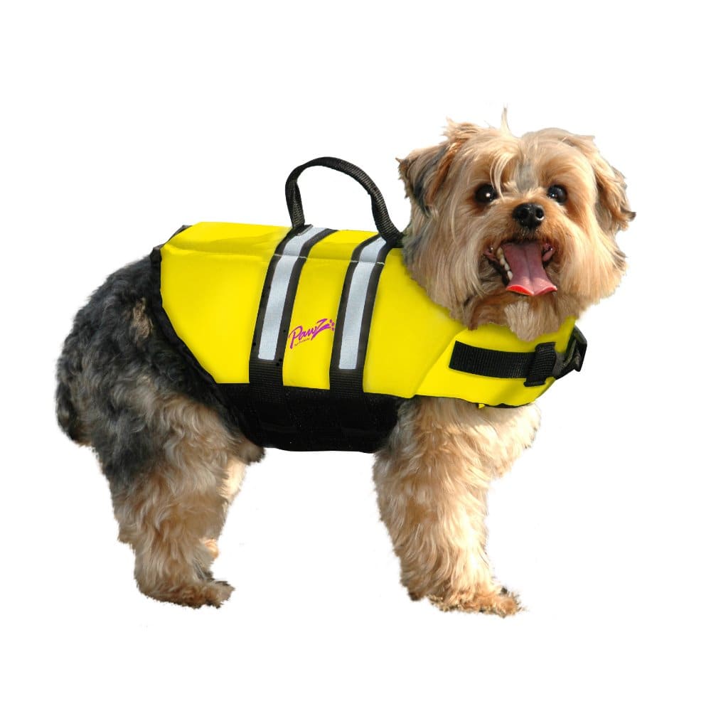 Yellow / Small