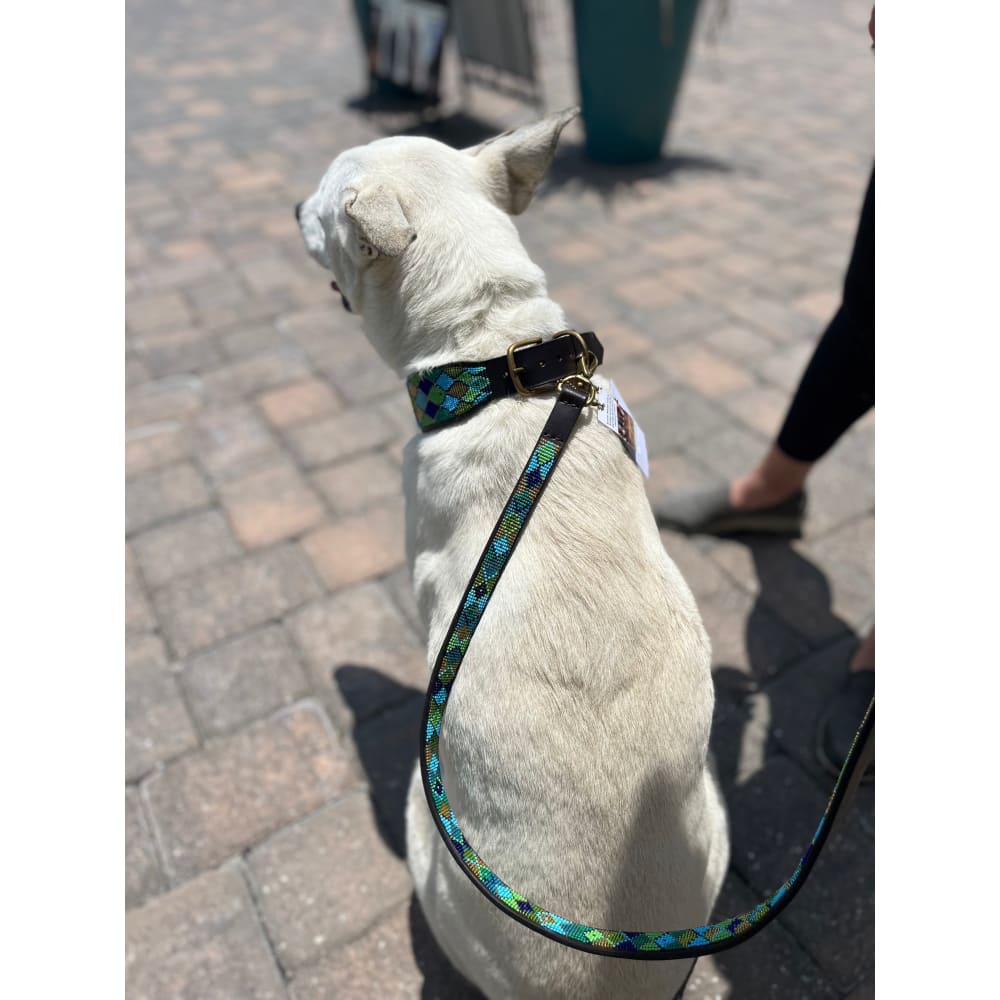 Peacock Argyle Beaded Dog Collar - Dog Collars - Maasai