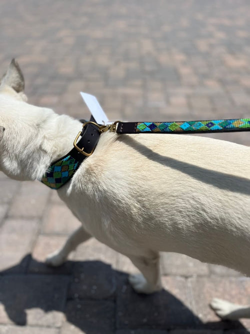 Peacock Argyle Beaded Dog Collar - Dog Collars - Maasai