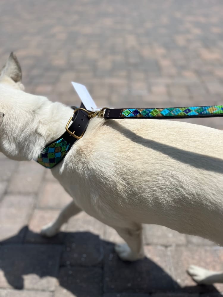 Peacock Argyle Beaded Dog Collar - Dog Collars - Maasai