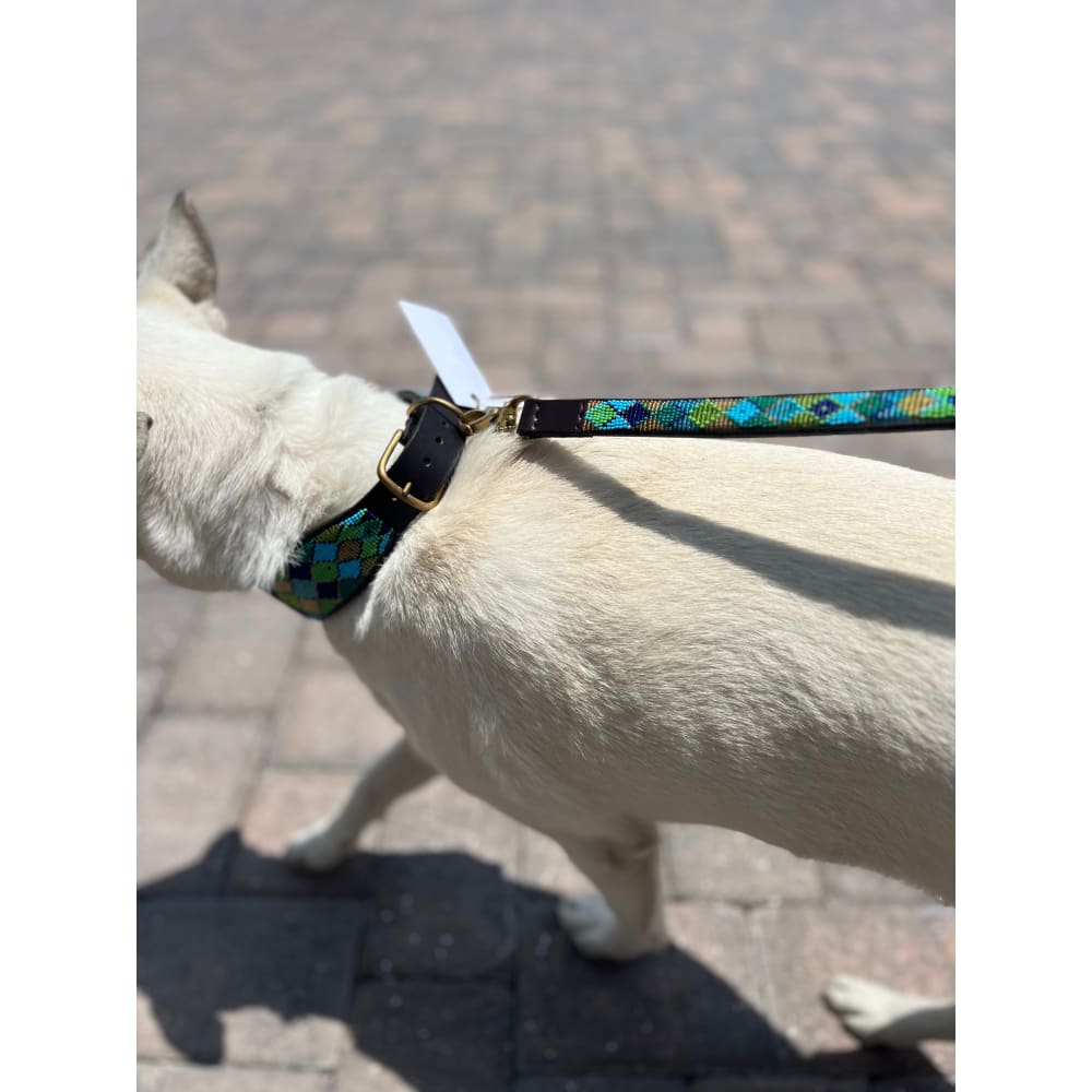 Peacock Argyle Beaded Dog Collar - Dog Collars - Maasai