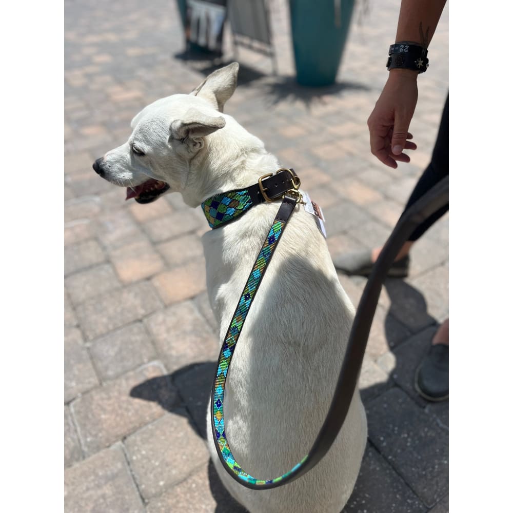Peacock Argyle Beaded Dog Collar - Dog Collars - Maasai