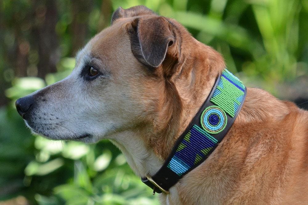 Peacock Beaded Dog Collar - Dog Collars - Maasai