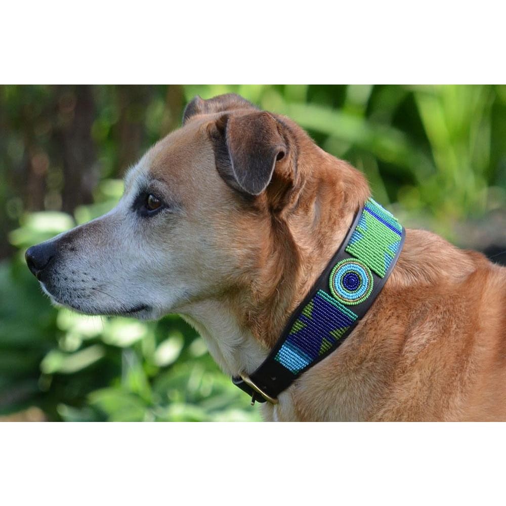 Peacock Beaded Dog Collar - Dog Collars - Maasai