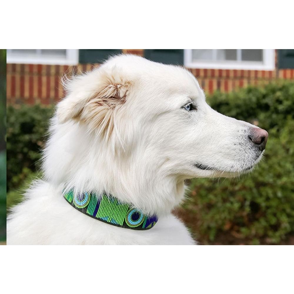 Peacock Beaded Dog Collar - Dog Collars - Maasai