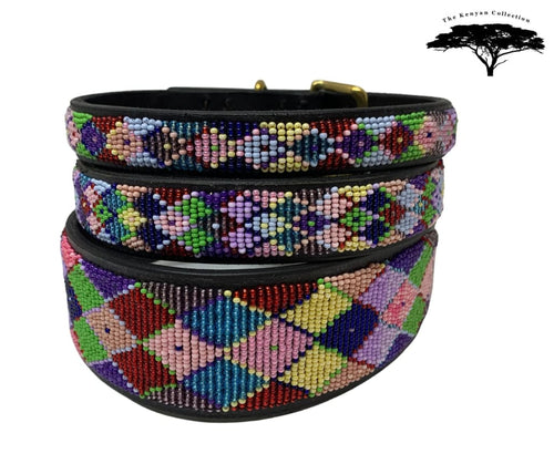 Posey Argyle Beaded Dog Collar - Dog Collars - Maasai