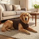 Premium Dog Shirts, Discontinued Colors - Outlet - Dog