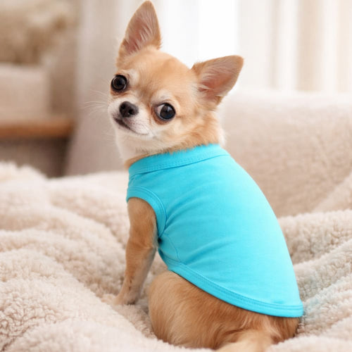 Premium Dog Shirts, Discontinued Colors - Outlet - Dog