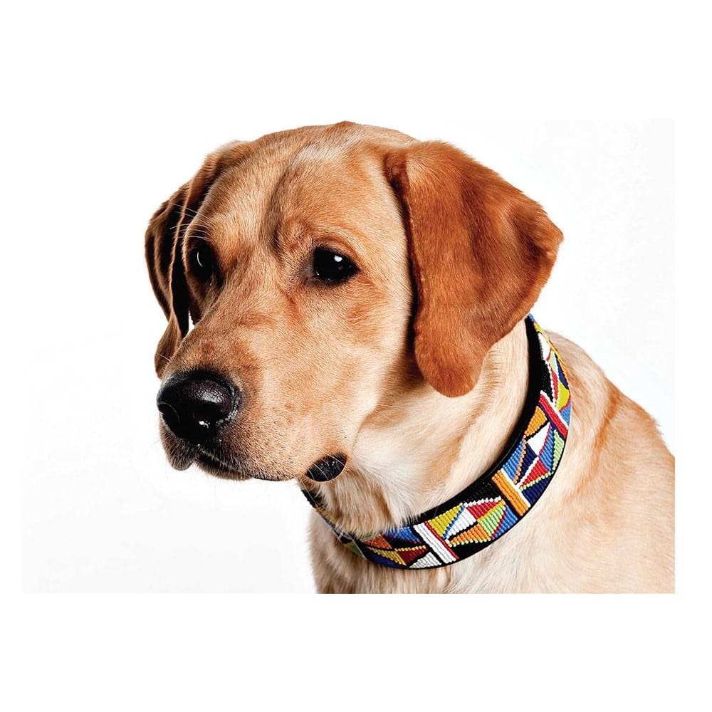 Primary Beaded Dog Collar - Dog Collars - Maasai