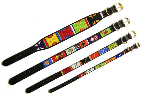 Primary Beaded Dog Collar - Dog Collars - Maasai