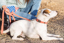 Quick-Release Style Leather Collar and Leash Set - Dog