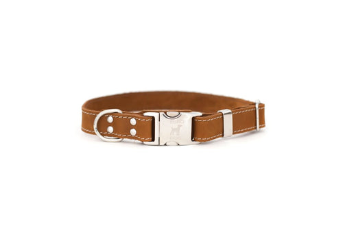 Quick-Release Style Leather Collar and Leash Set - Dog
