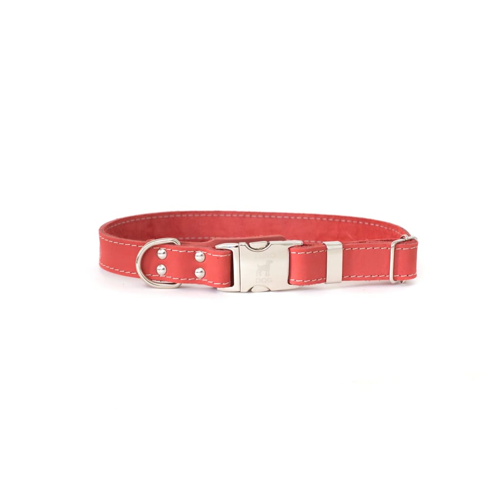 Quick-Release Style Leather Collar and Leash Set - Dog