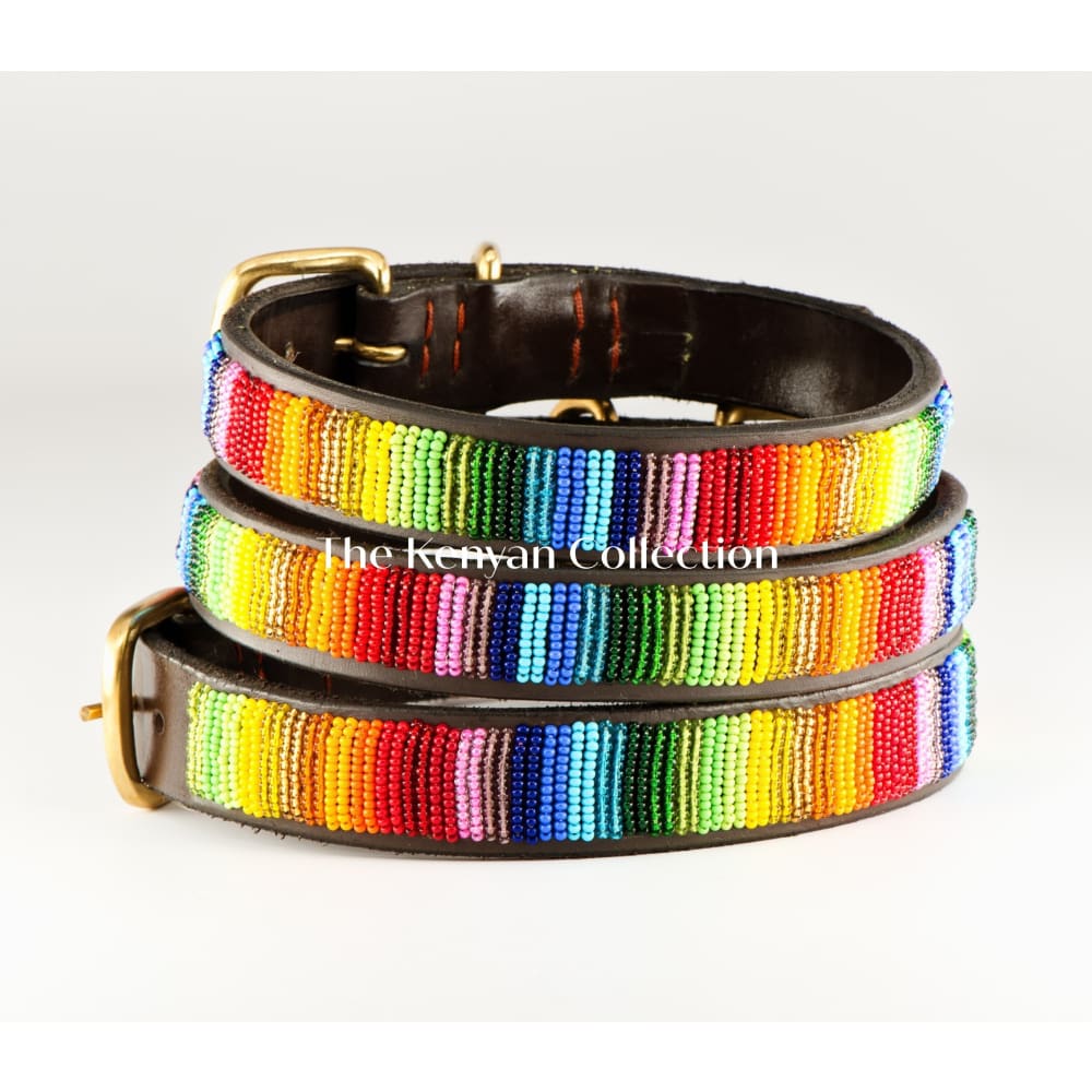 Rainbow Beaded Dog Collar - Dog Collars - Maasai